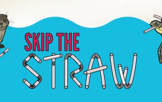 Otter and Turtle with Straws for Skip the Straw Campaign